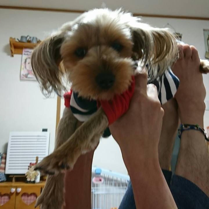 45cfbbf7 b3fb 41cb a16c beba5f4218bc