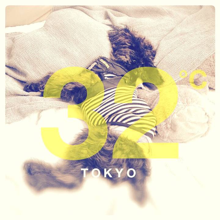 45d0428b ae3f 4774 9a03 7c1943bf2035