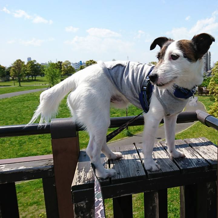 45d063d2 1928 4781 b698 2eafbda131c1