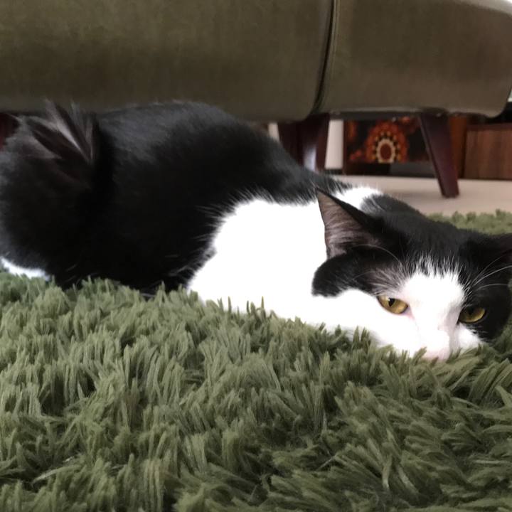 45d0b7fb d243 41e0 a9f2 3d8584ff4e65