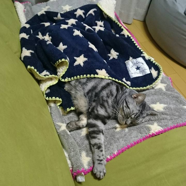 45d0e976 8e94 445f 869b ba07cdfe846d