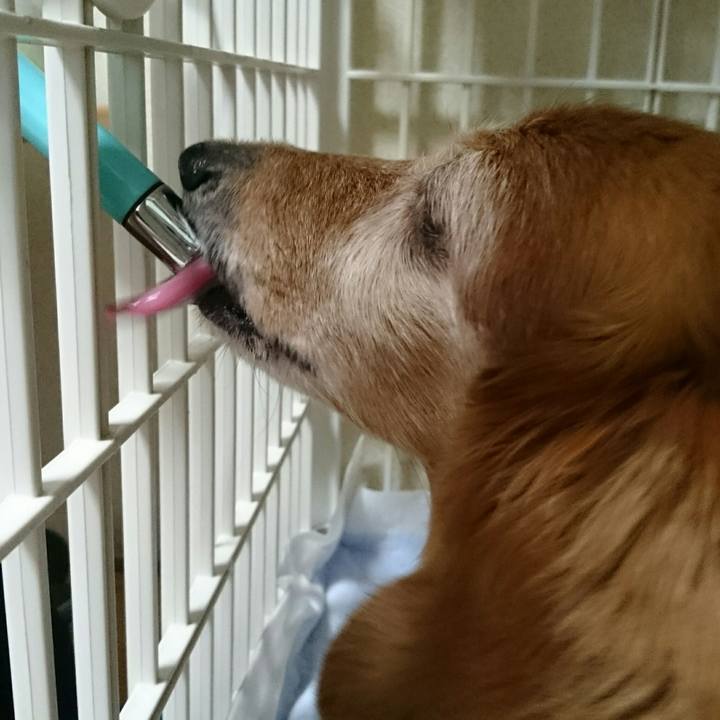 45d148c4 e837 4a21 99ca 95218934d39a