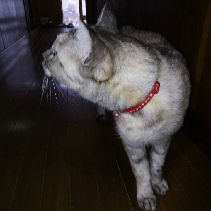 45d1b70b e6ea 4289 8e0d 6358b17cb790