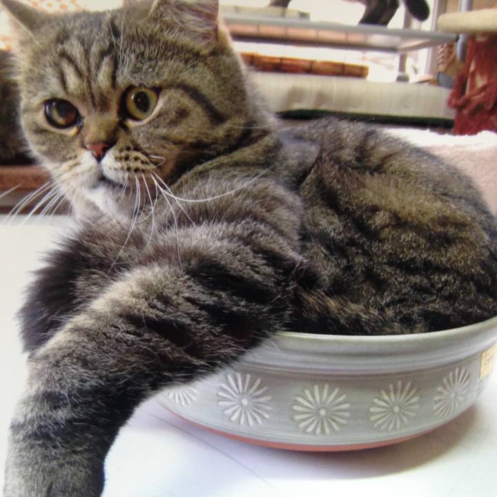 45d1eb20 6c7d 46e2 b283 f07593a19ab1