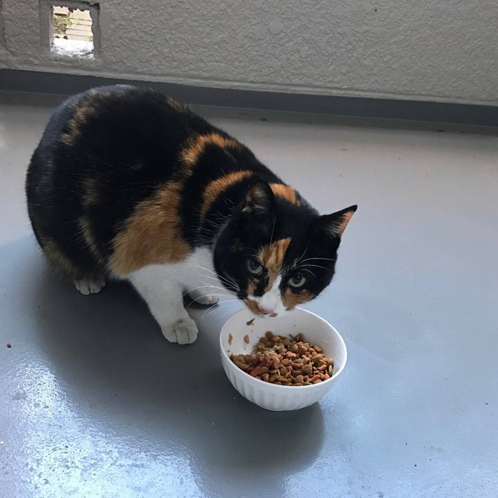 45d1ec70 f643 464f 9291 7c71b9049ade