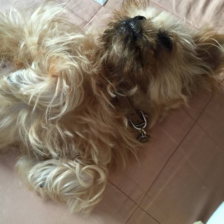 45d2c863 0e8d 45b5 b3a6 1062354178b3