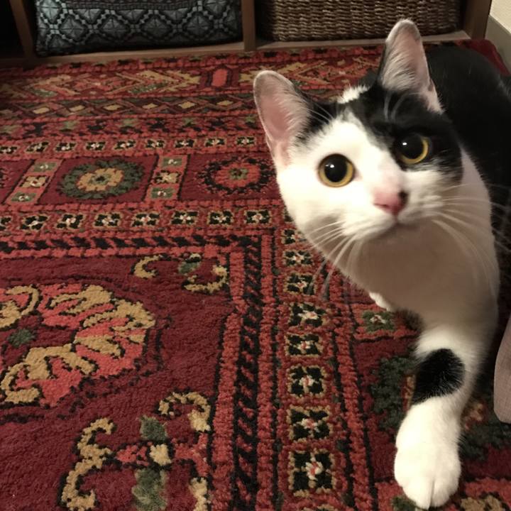 45d341aa 6c05 4168 b7db 980eeff22619