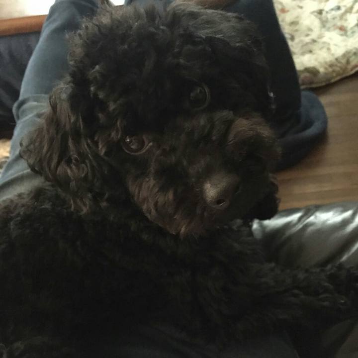 45d35a75 6bbb 4dc0 8b74 3df75edcad51