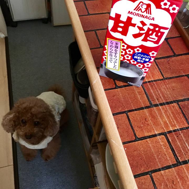 45d3600c 2f5c 47b6 9011 d78840d71476