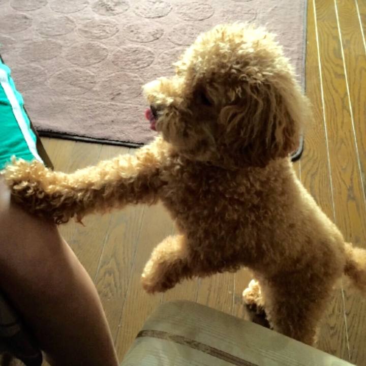 45d3a6a9 e13a 4ada a5f8 b2a65a24c9b2