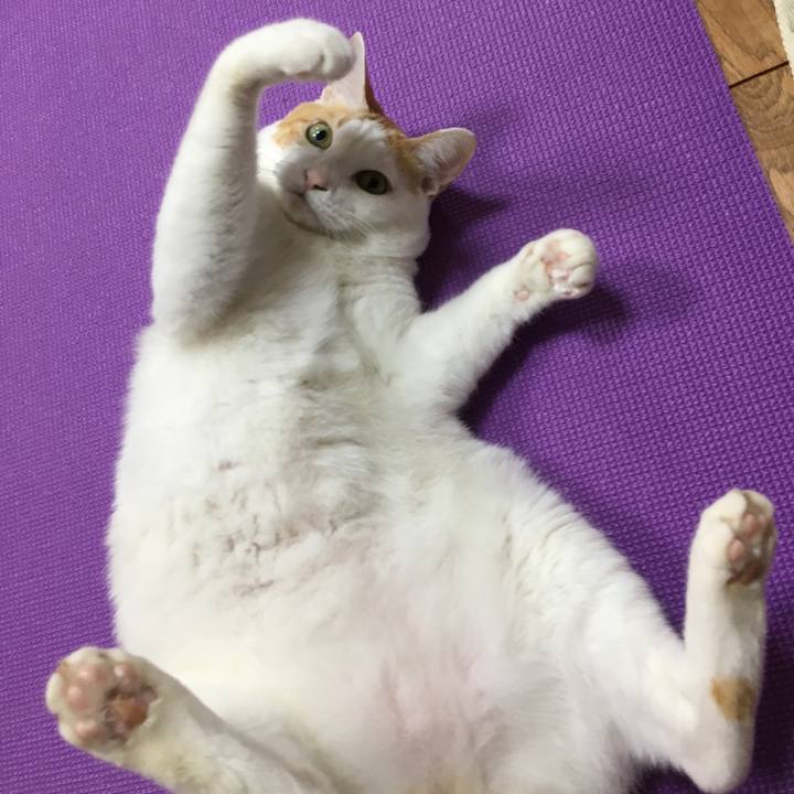 45d4a7bb d382 449e 8493 4389069639d1