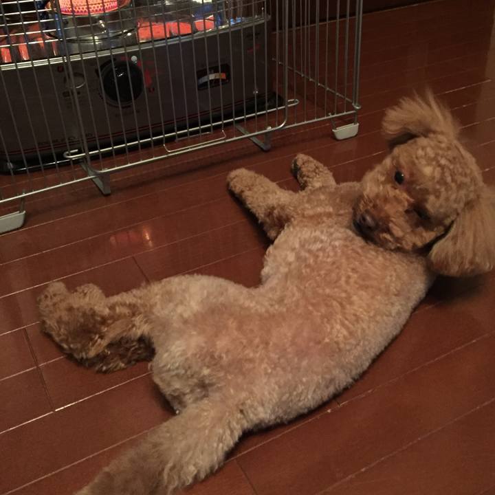 45d4c95b d49d 4d96 88ce 2c994913af33