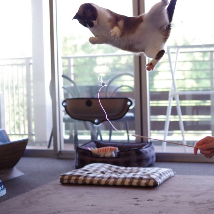 45d4d1b3 8235 4c67 80ad ac4b79624308