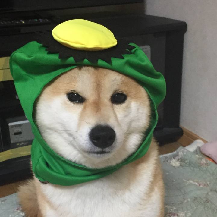 45d5066c 2e35 40a0 a968 ffade5631d7c