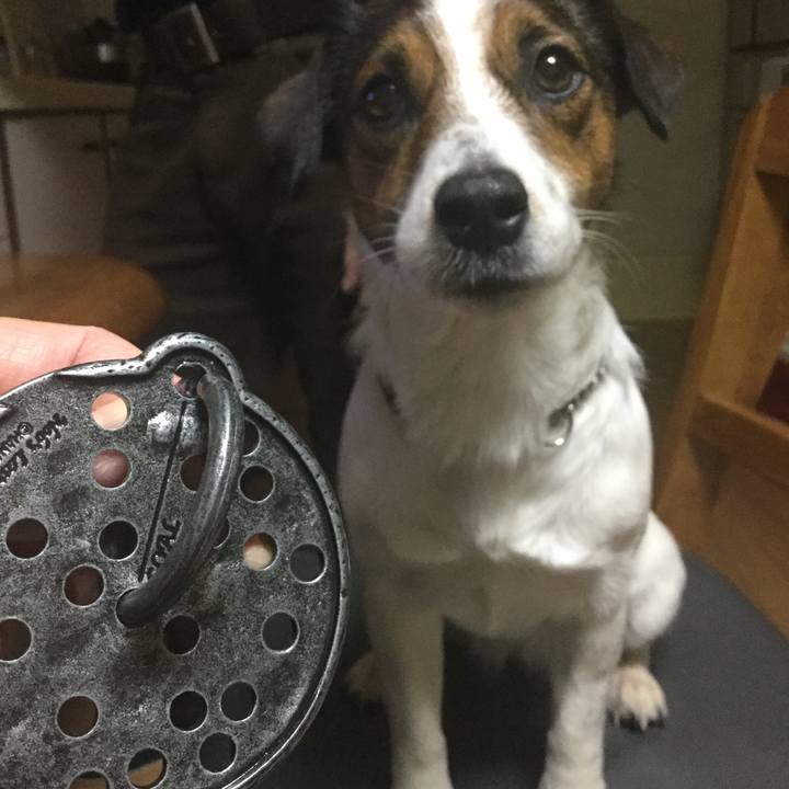 45d53bce f05e 4166 8709 dc57f10a9a6c