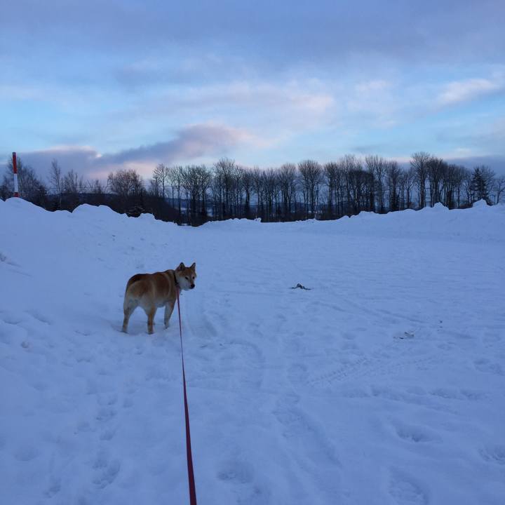 45d56848 ba12 4f19 bc46 ecfde1408abf