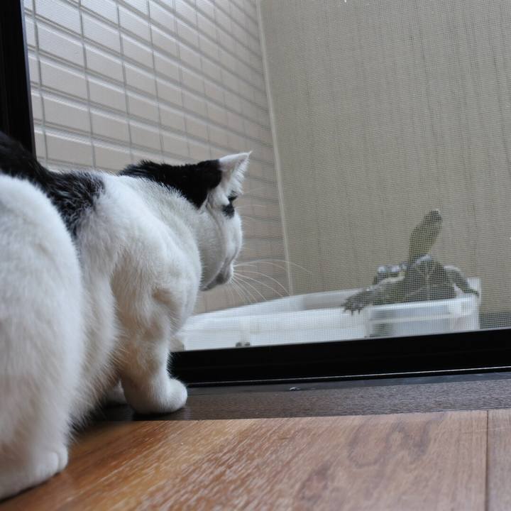 45d5b0a9 b2b7 4d7e a027 6bc3d4c9e9f7