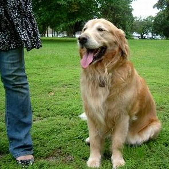 45d5e416 2a45 498d ab85 ce42f67b94e4