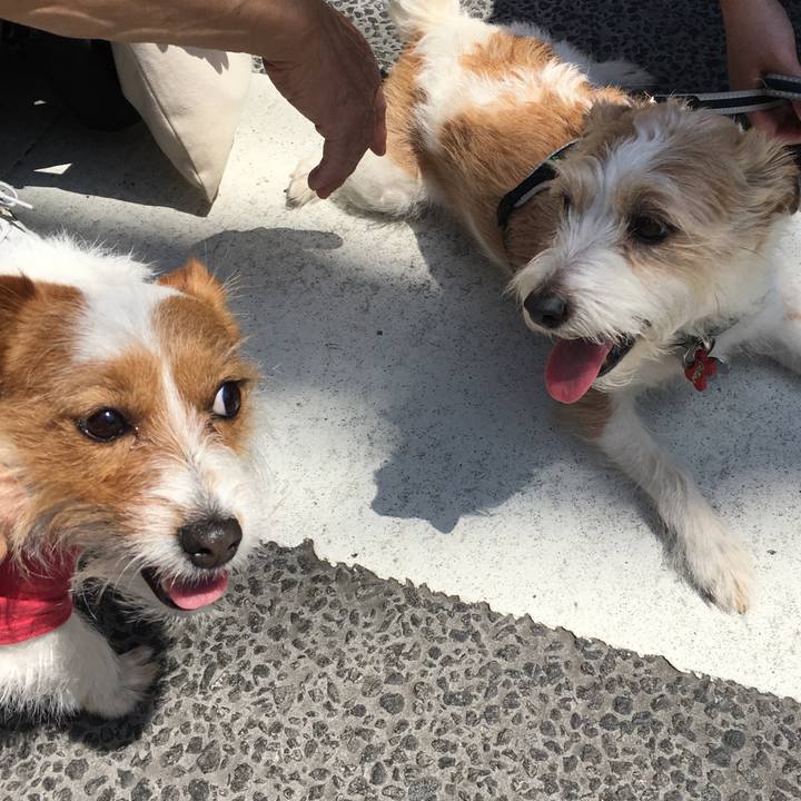 45d5e6db bf9d 45ab bab9 2a4cfa0862ce