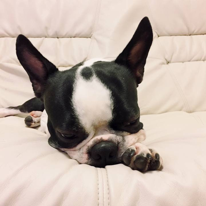 45d649bd 493f 42d8 aeee a3f17708713a