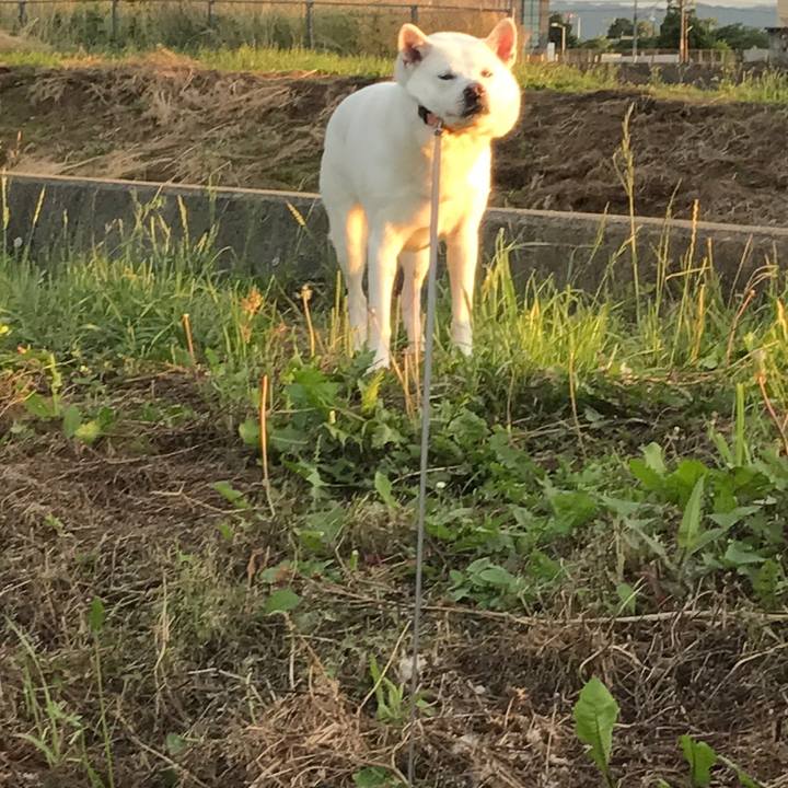 45d6659a 255a 43da b4a6 14724ac1c8c4