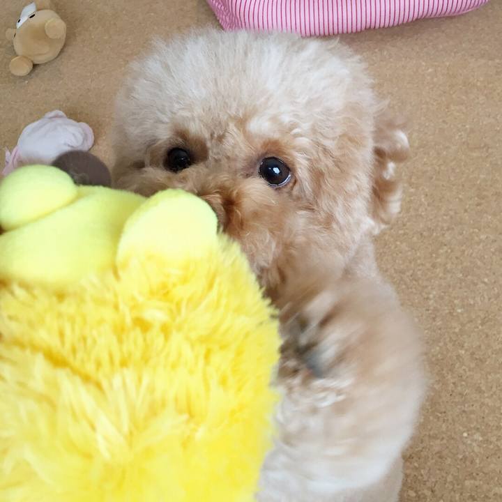 45d77f80 b995 4142 a02a 62bdc5d6ae8b