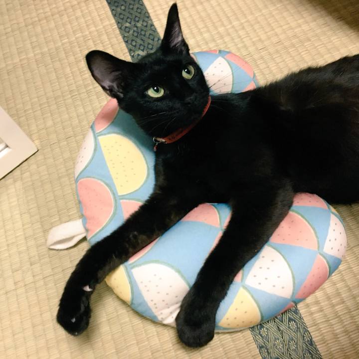 45d8e918 3689 4dee 8e16 d17546ca3d2e