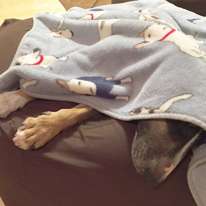 45d93563 c076 493a b8e9 951bf810471c