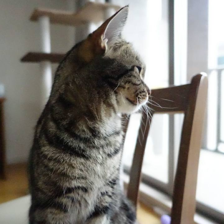 45d98f85 b2e4 452c a814 18b40f99ec01