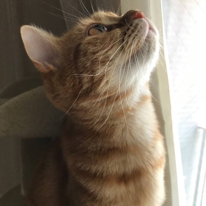 45d9a09c 3c52 4a4f b6fc 3926dae5ad9d