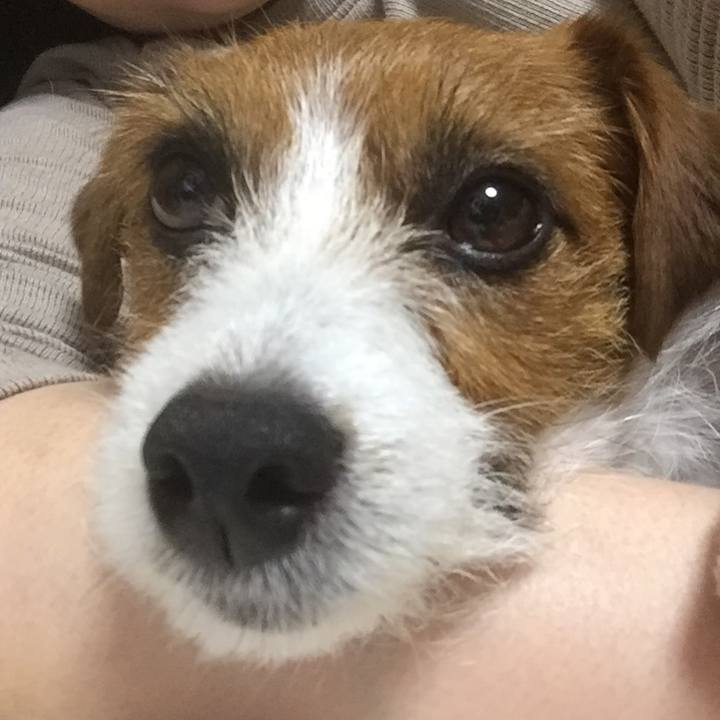 45d9a50d 8fa6 4d53 beaf 36964bbcc124