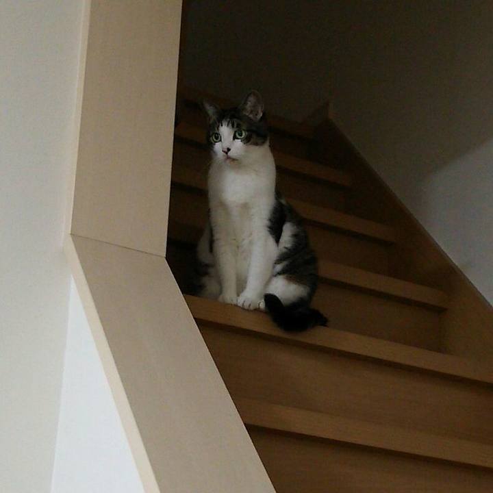 45da2bae 653c 4bde b626 c2a8188cf683