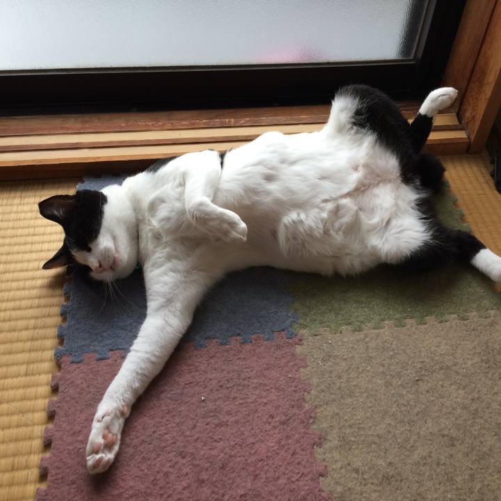 45dad26e c0ed 4655 8550 858e775bebdf