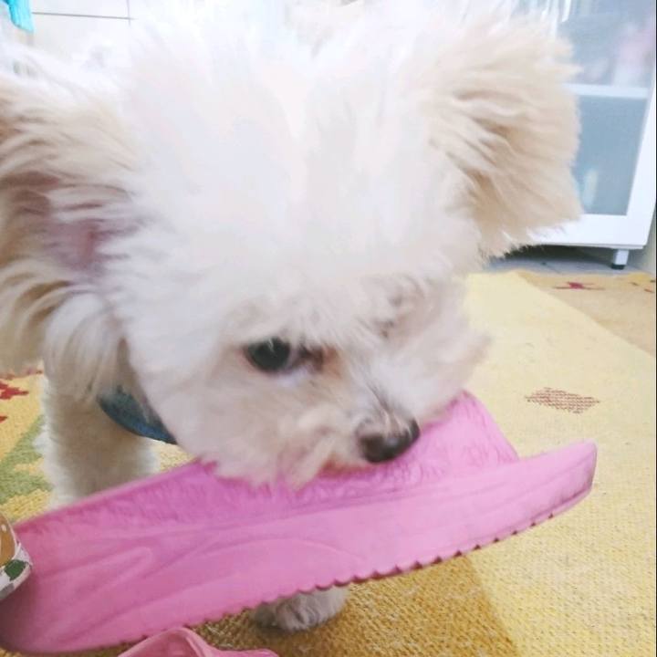 45daf707 5e57 43d3 9a46 fb99802274ec