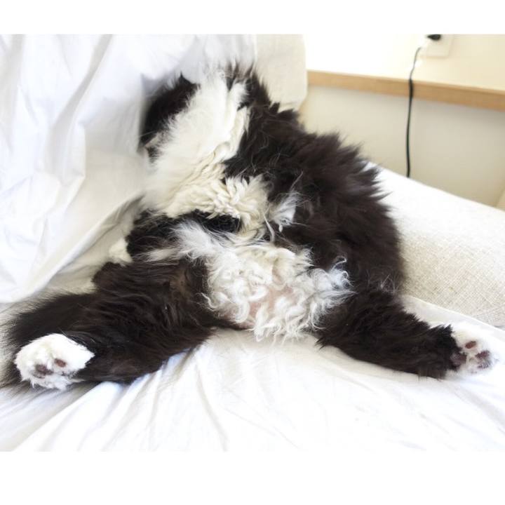 45db2b7b 27f7 491b 8e5f 4c7174ce87f3