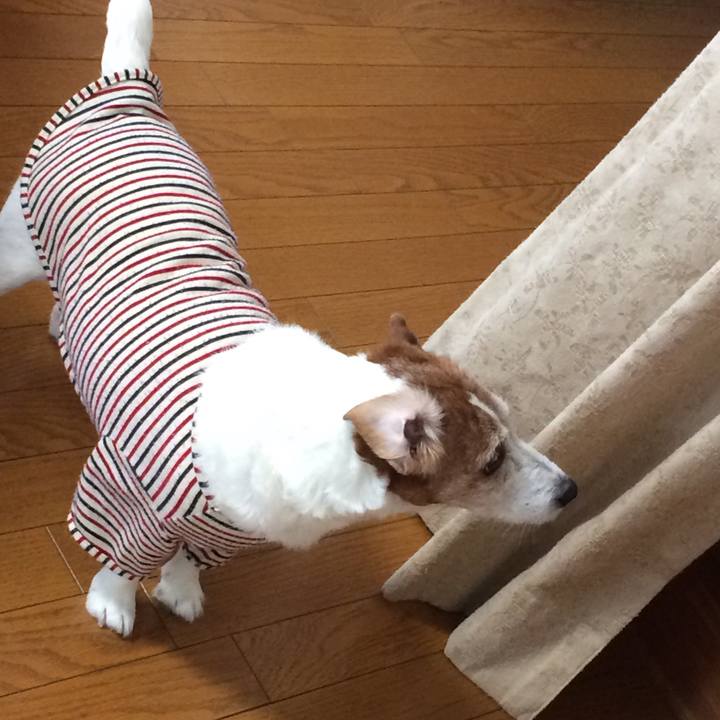 45db7a44 6183 4b21 87f4 d48f9bf10155