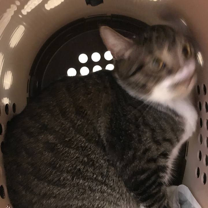 45dbffb1 db93 49b9 9289 0a729ef983e5