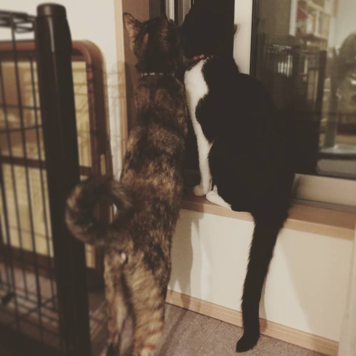 45dc3060 b060 428b 8f6c 97c7a4fcbb8e