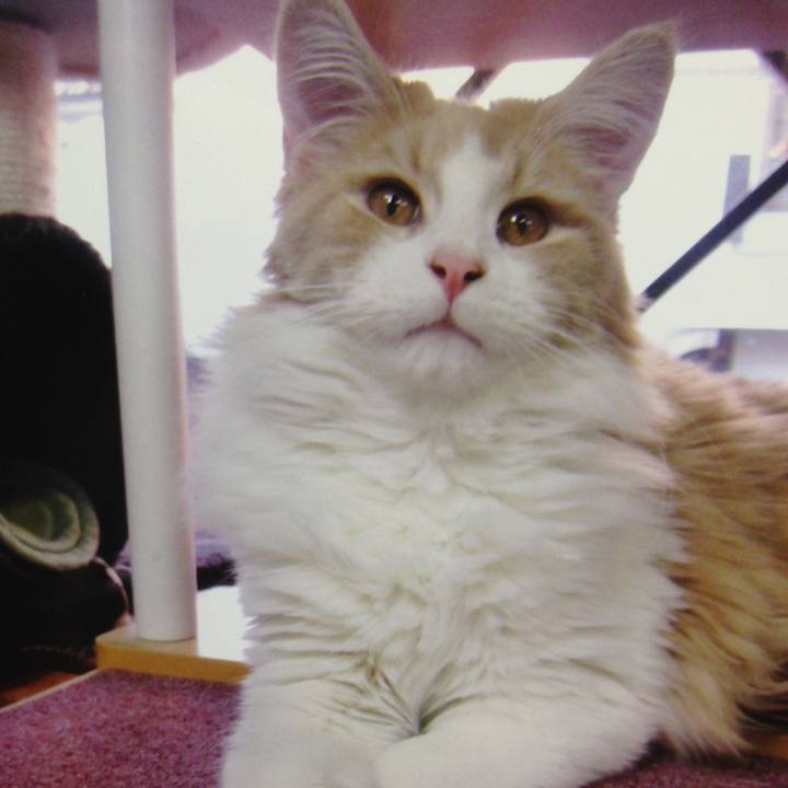 45ddace5 4a91 4331 8903 0a99109b559a