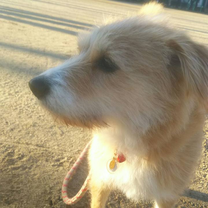 45de5dac db9f 418a a077 ad2dbfaa5720