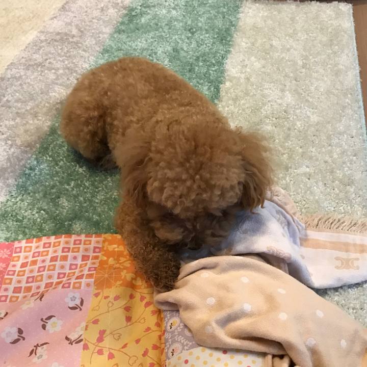 45dec931 229f 4a2c bb14 f2d99e4e3d03