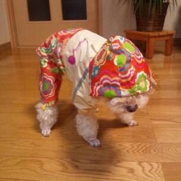 45df3d9e ef05 49db 8661 0d4bcf284d50