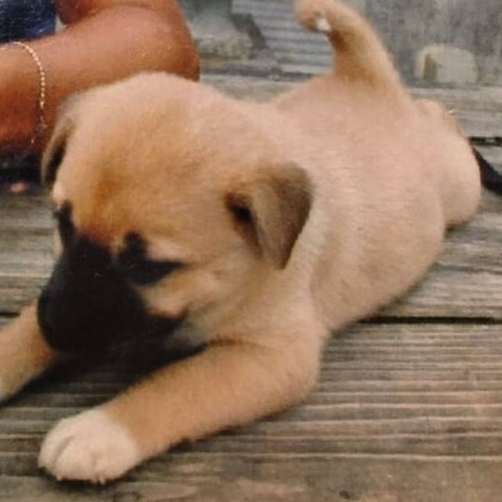 45df537a 5bb3 4378 a14e cc34526f4c21