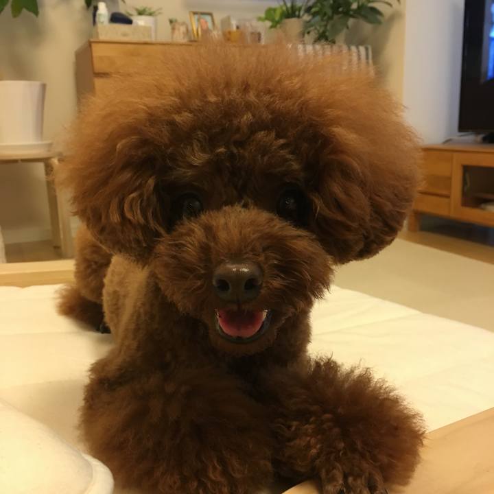 45df86c7 ae15 4ac9 909f f4186c4fc7d3