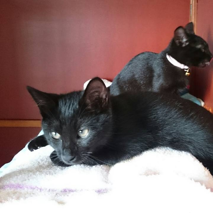 45e01cf1 f764 4a63 9bfb 89381990eeff