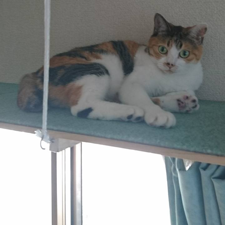 45e09ad3 0990 40be a598 5e2265e04015