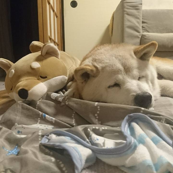 45e0f741 85a5 411a 8cc5 6b2b9383f543