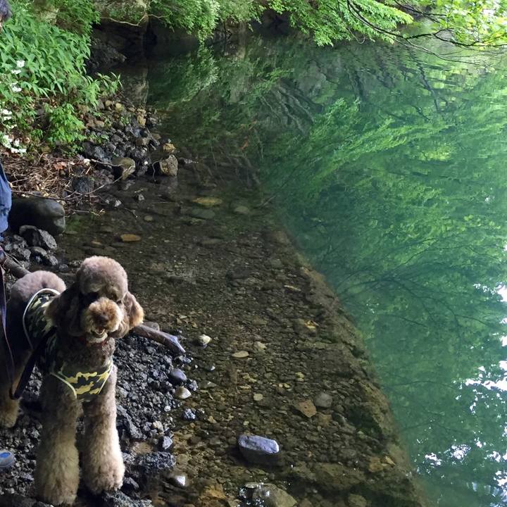 45e1ad19 2cc9 47d2 b2c5 4fb18254fcb3