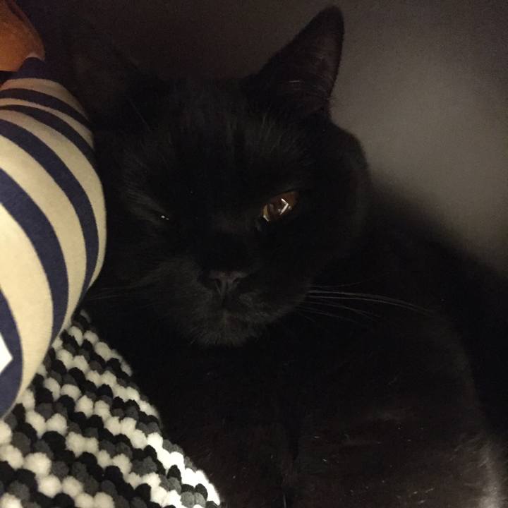 45e20ce7 290b 4cd0 ab54 587aa6bcbb1c