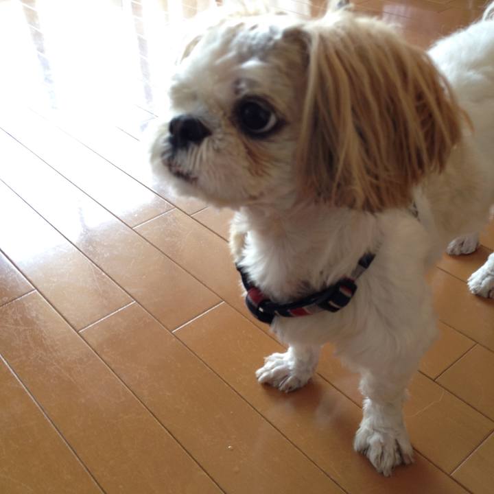 45e2b5ea f101 4e20 b000 92407797fc18